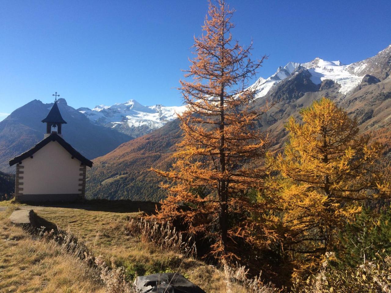 Appartamento Enzian Saas-Grund